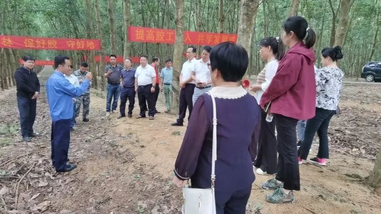 全国割胶冠军张健给各单位学员做标准化胶园建设及割胶技术的经验介绍。.jpg